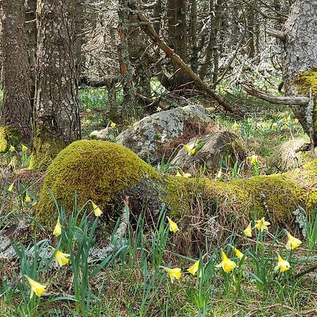 Gites La Boletiere Saint-Étienne-du-Valdonnez Dış mekan fotoğraf