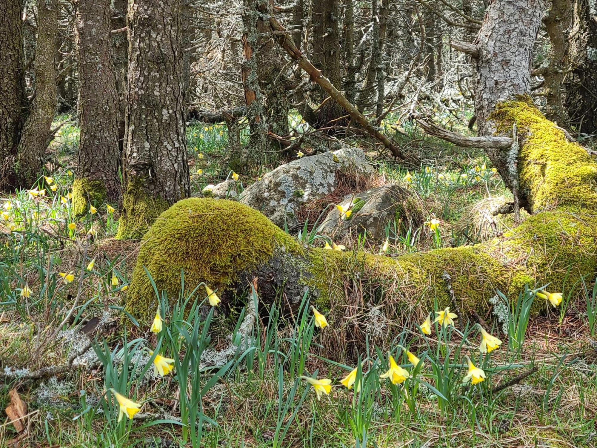 Gites La Boletiere Saint-Étienne-du-Valdonnez Dış mekan fotoğraf