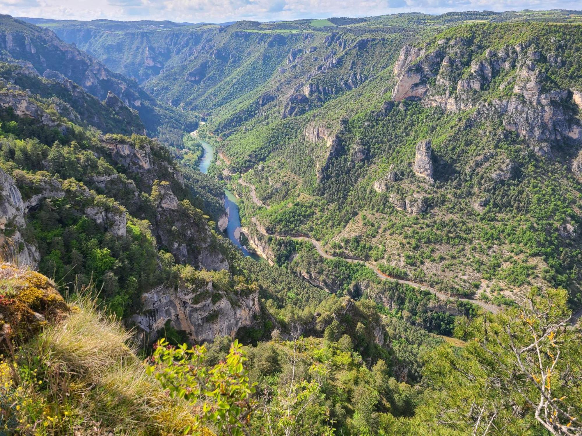 Gites La Boletiere Saint-Étienne-du-Valdonnez Dış mekan fotoğraf