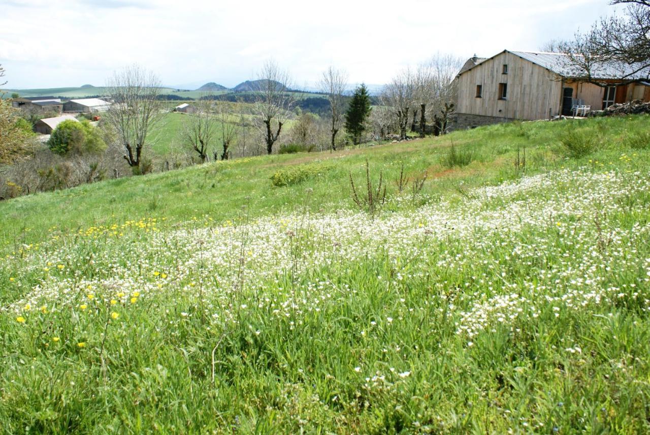 Gites La Boletiere Saint-Étienne-du-Valdonnez Dış mekan fotoğraf